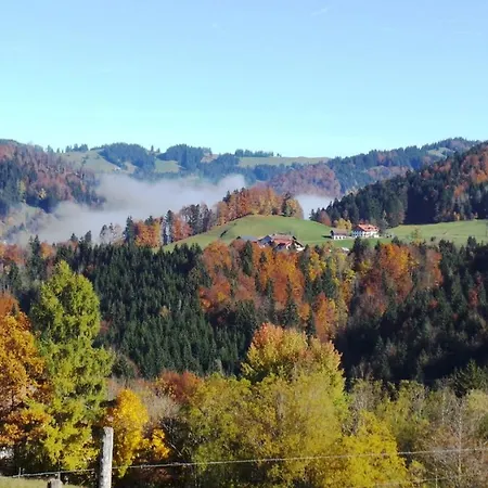 Yeti Oberstaufen